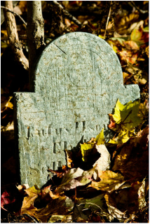 Picture: Tiny, old-timey tombstone at the base of an old tree that is covered with autumn leaves. Cat Michaels: 