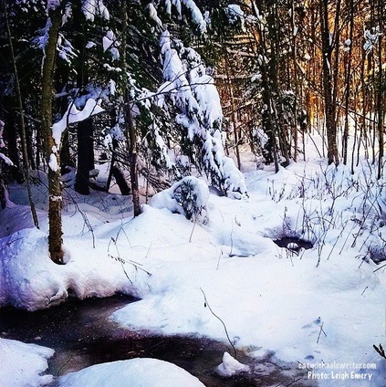 photograph by Leigh Emery: still,snow-covered woods and frozen pond exemplify the peace, beauty of the season www.catmichaelswriter.com