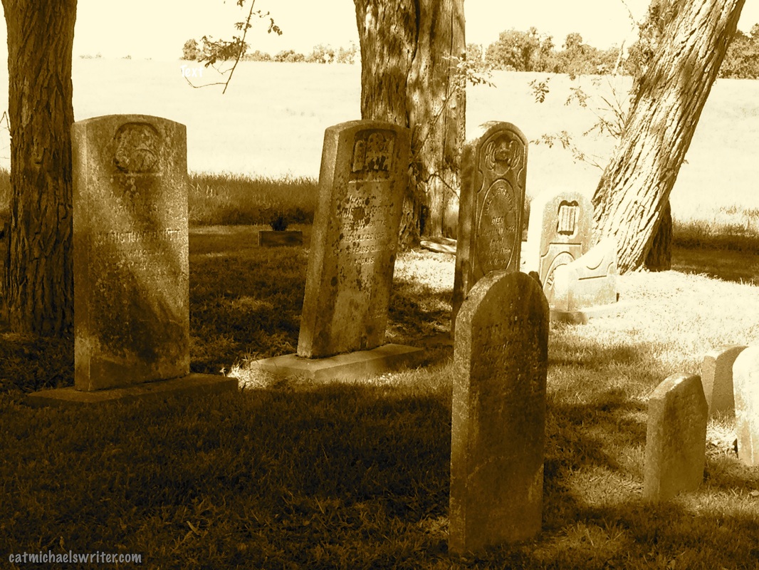 Picture: Sepia-toned graveyard: Cat Michaels: House Ghost Keeps Us On Our Toes -- A True Story?