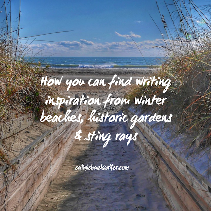 How you can find writing inspiration from a winter beach, historic gardens and sting rays ~ catmichaelswriter.com