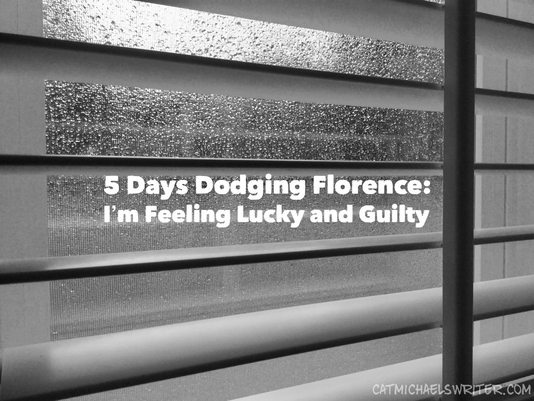 Five Days Dodging Florence: I'm Feeling Lucky and Guilty - catmichaelswiter.com