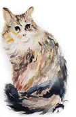 Watercolor drawing of Mowgli the cat ~ www.catmichaelswriter.com