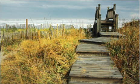 Picture: wooden path and bridge over sand dunes lead to the Atlantic Ocean off the Outer Banks ~ catmichaelswriter.com
