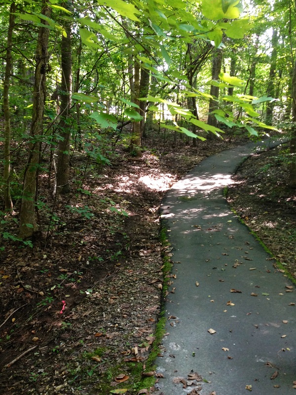 Woodland Path: Hard to believe these peaceful woods are part of a U.S. metro area of a million people.