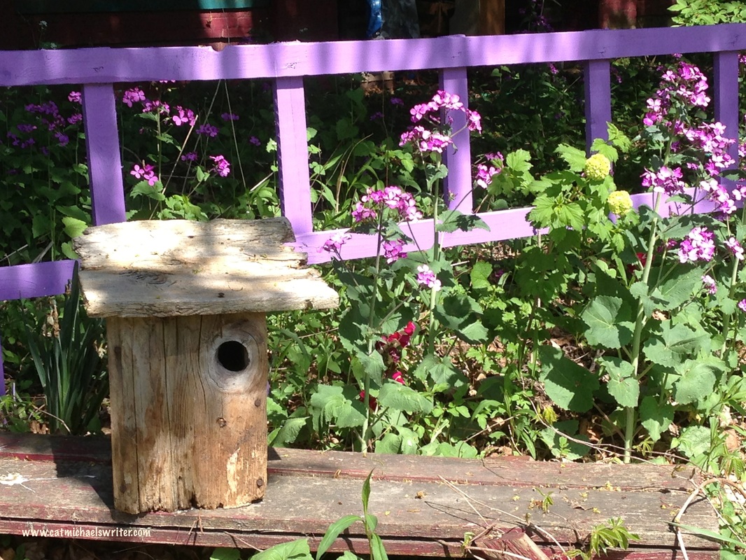 old birdhouse in cottage garden with purple flowers and a purple ladder