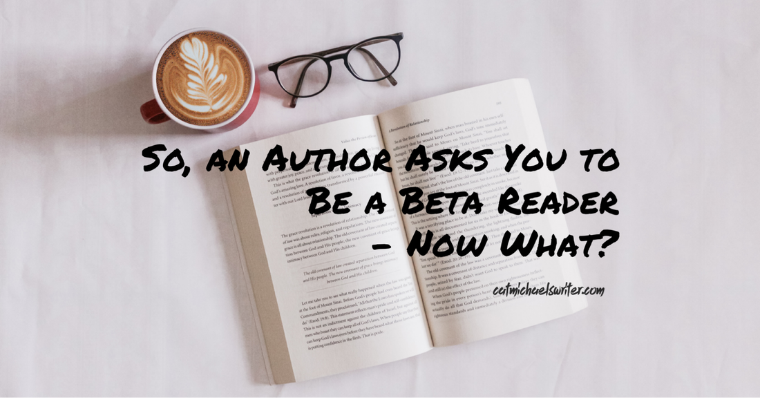 So, an Author Asks You to be a Beta Reader - Now What? ~ catmichaelswriter.com