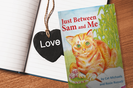 Just Between Sam and Me - by Cat Michaels & Rosie Russell